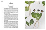 The Modern Flower Press: Capturing the Beauty of Nature
