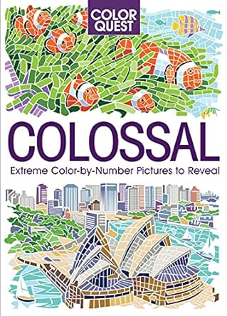 Color Quest: Colossal: An Adult Activity Book  (Sourcebooks)