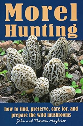 Morel Hunting: How to Find, Preserve, Care for, and Prepare the Wild Mushroom