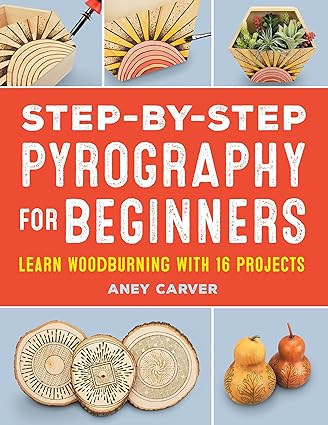 Step-by-Step Pyrography for Beginners (Sourcebooks)