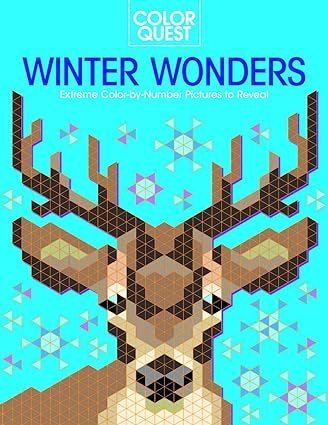 Color Quest: Winter Wonders: Extreme Color-by-Number Pictures to Reveal (Sourcebooks)
