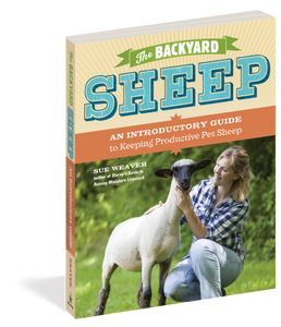 The Backyard Sheep