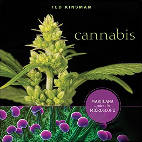 Cannabis : Marijuana under the Microscope