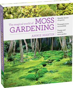 The Magical World of Moss Gardening