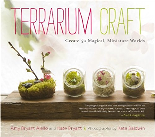 Terrarium Craft (S)